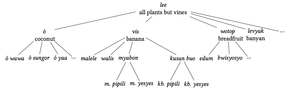Taxonomy of plants with stalks or trunks